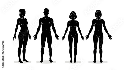 Diverse Human Body Silhouettes: Male and Female Figures for Health and Fitness Concepts