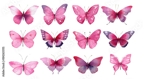 Collection of spring butterflies in soft watercolor style. Pink romantic butterflies hand-drawn on isolated background. Spring and summer insects. Vector illustration.