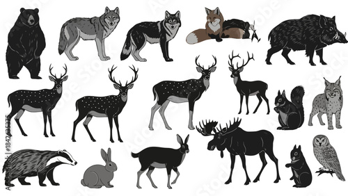 Collection of Diverse Wild Forest Animals Silhouettes in Black and White