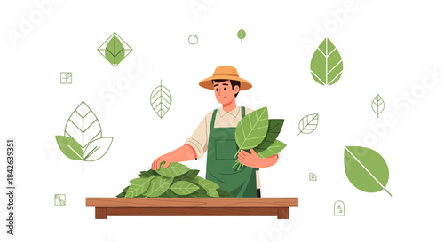 Farmer harvesting fresh green leaves in a field, sustainable agriculture concept ideal for