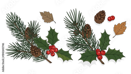Detailed illustrations of winter foliage featuring evergreen pine branches, pinecones, vibrant red holly berries, and scattered autumn leaves.