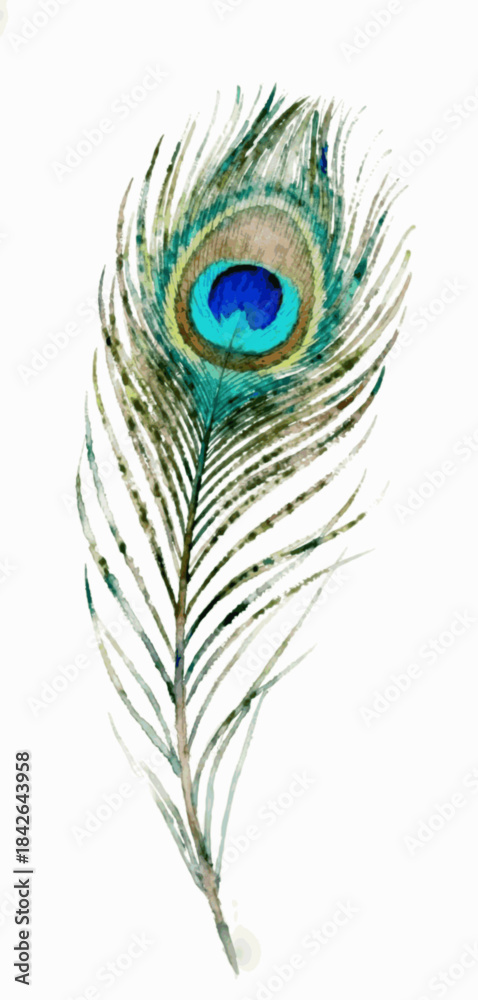 Obraz premium High Serenity Peacock Feather isolated watercolor vector illustration svg