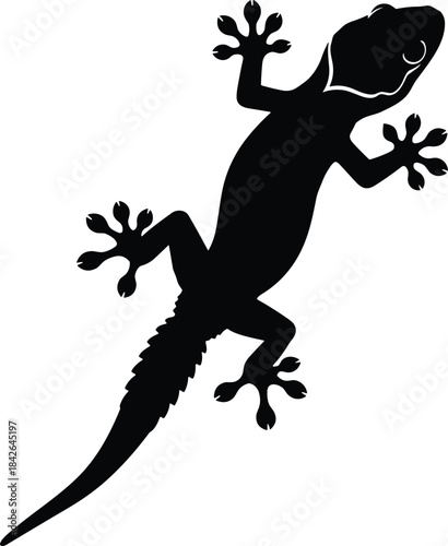 Silhouette of gecko lizard climbing, reptile illustration with detailed legs and tail, wildlife design element for nature graphics, patterns, decoration