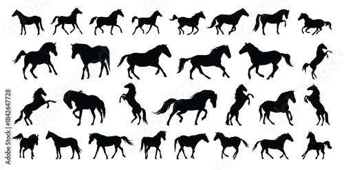 horse silhouette set. horse different poses isolated farm animal silhouette icon vector collection