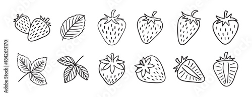 strawberry berries and leaves doodle hand drawn icon set. Outline drawing line clipart symbol collection.