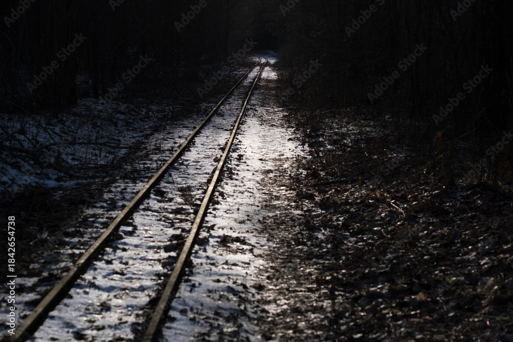 Fototapeta premium narrow-gauge railway in the forest, Bialowieza Forest, Poland