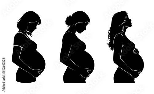 Stages of Pregnancy: Silhouette Series