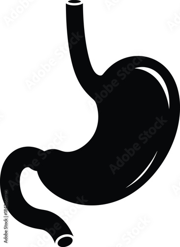 Human Stomach Organ Silhouette Vector