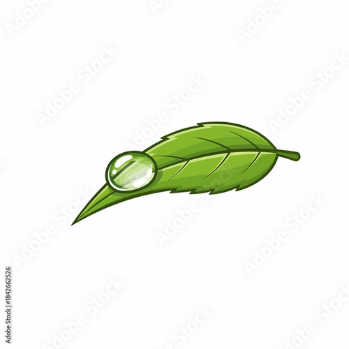 Cartoon green leaf with a transparent dewdrop resting on its tip