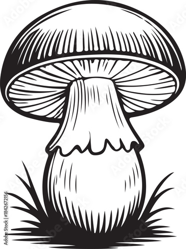 Mushroom Hand-Drawn Collection. Detailed black and white sketch of a mushroom with intricate lines and shading. Vector illustration.