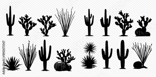Set of various desert plants and cacti silhouettes on transparent background.