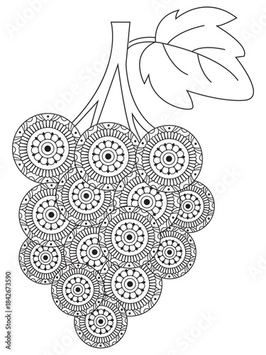 Grapes flower coloring pages for adult