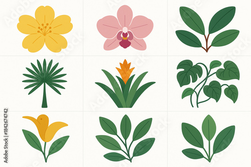 Venezuelan flora icons in flat botanical vector grid with calming organic palette on white background