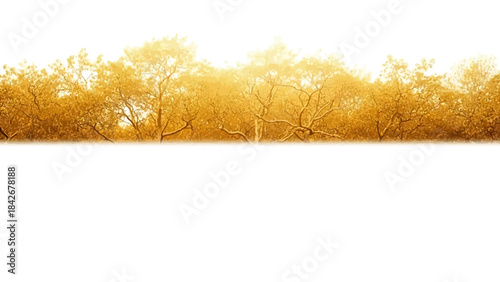 Warm golden light shines through trees on a serene landscape during a thanks giving celebration in a natural outdoor setting with a sunny atmosphere.