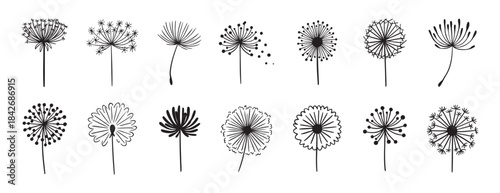 Dandelion flower silhouette doodle hand drawn icon set. Outline drawing Dandelion flower silhouette line clipart symbol collection