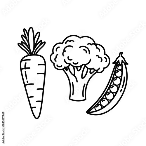 Fresh vegetables illustration with carrot broccoli and peas