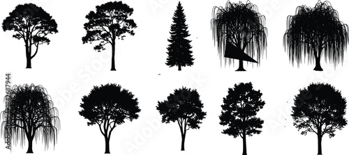 Set of ten black tree silhouettes including pine willow and oak varieties isolated on white background vector illustration design for landscape architecture