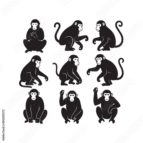 Monkey Silhouettes Collection,Monkey Silhouettes,Vector Monkey Silhouettes,Wild Jungle Monkey Figures Silhouettes,monkey vector