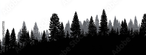 A stylized forest silhouette, with varying shades of gray and black trees against a white background