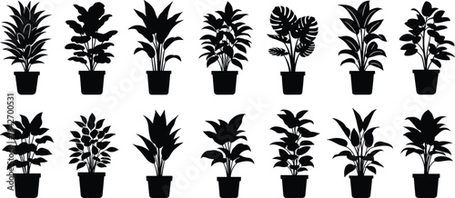 Silhouettes of indoor potted plants, botanical leaf shapes, black vector icons, foliage diversity, nature design elements, tropical houseplant illustration