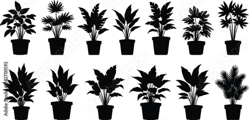 Silhouettes of tropical potted plants, botanical foliage icons, black vector illustration, leaf shapes, ornamental greenery, nature design elements