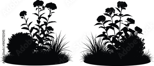 Black silhouette of garden plant arrangements with floral stalks, shrubs, foliage, circular soil base, and landscaping design concept