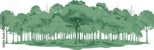 Dense Forest Landscape With Various Green Trees And Foliage woodland nature