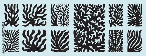 coral abstract shape matisse geometric set. poster organic art coral poster.contemporary minimal style. trendy boho marine corals illustrations