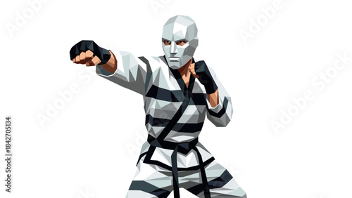 Polygonal martial artist in action pose with geometric design