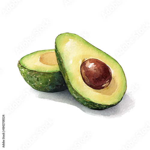 Isometric-style watercolor depiction of Avocado, set against a white background.