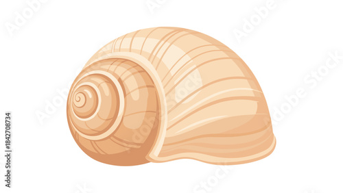 A beautiful illustration of a seashell on a pure, showcasing its spiral shape and ridged texture in a realistic and detailed manner
