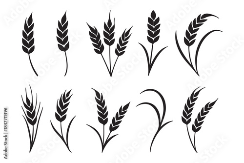 Wheat icon set. Collection of black wheat ear silhouettes, ideal for agriculture logos, organic product labels, and rural themed designs. Vector illustration. EPS 10
