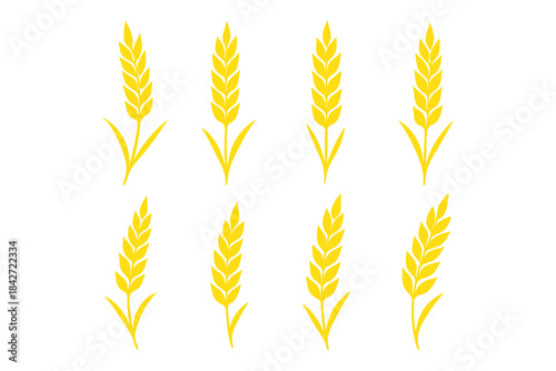 Wheat ear icons set vector silhouettes. Black wheat spikelet vector collection. Set of wheat stalk. Cereal plant silhouettes. Wheat silhouettes. Wheat vector icons. Design eps 10 