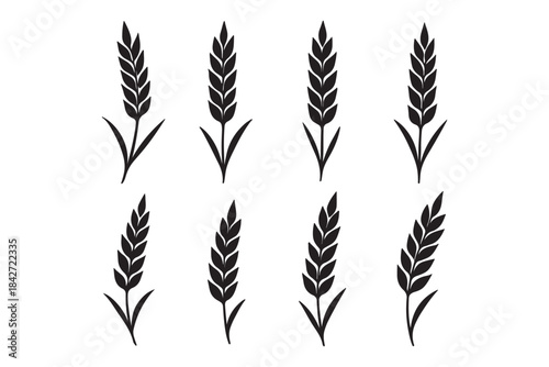 Wheat ear icons set vector silhouettes. Black wheat spikelet vector collection. Set of wheat stalk. Cereal plant silhouettes. Wheat silhouettes. Wheat vector icons. Design eps 10 
