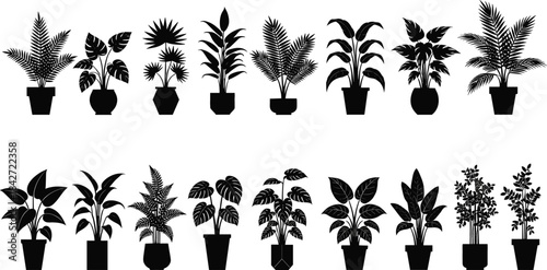 Black silhouette vector illustration set collection of various popular indoor potted house plants, including ferns, monstera, palms, and philodendrons