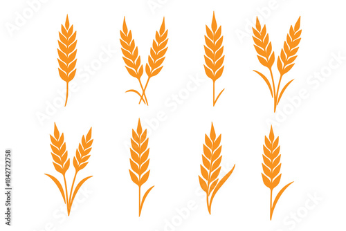 Wheat ear icons set vector silhouettes. Black wheat spikelet vector collection. Set of wheat stalk. Cereal plant silhouettes. Wheat silhouettes. Wheat vector icons. Design eps 10 