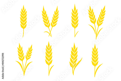 Wheat ear icons set vector silhouettes. Black wheat spikelet vector collection. Set of wheat stalk. Cereal plant silhouettes. Wheat silhouettes. Wheat vector icons. Design eps 10 