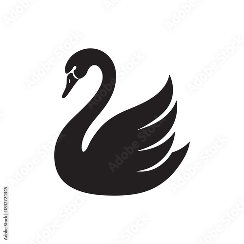 Black swan vector illustration on white background