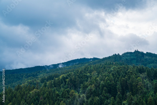 Germany, Beautiful black forest schwarzwald nature landscape panorama view above trees in summer season with dark clouds and coming rain