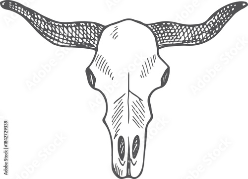 A skull with horns on it