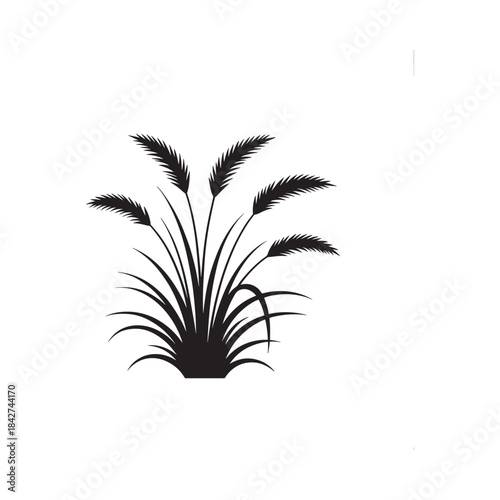 Simple vector silhouette of ornamental grass plant with feathery stalks