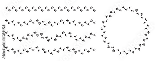 Frog Footprint Vector design - Path footprints of Frog or Toad. Bird footprints icon. Animal footprints icon