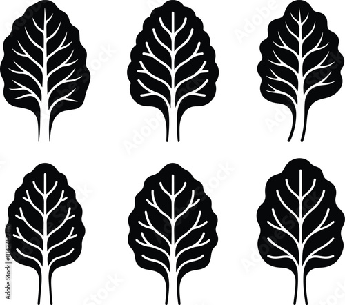 Set of Minimalist black swiss chard vegetable leaf silhouette vector icon