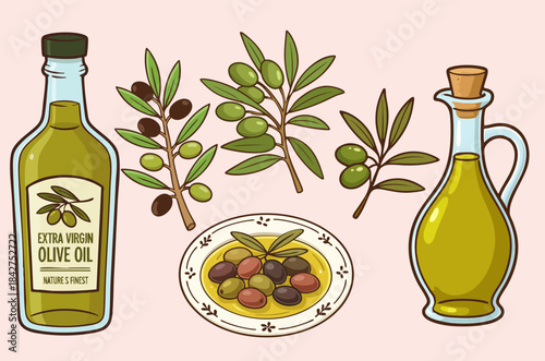 Vector illustration of the olive and olive oil concept.