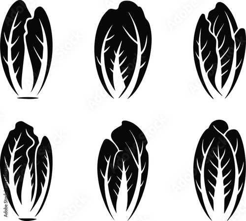 Set of Minimalist black endive chicory vegetable leaf silhouette vector icon