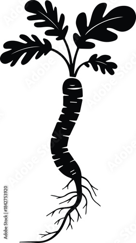 Minimalist black horseradish root vegetable silhouette vector icon