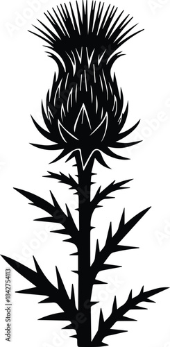 Minimalist black cardoon vegetable thistle stalk silhouette vector icon