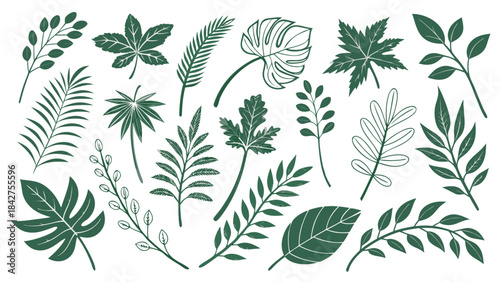 Vector illustration collection of various green leaves and plants for design and decoration purposes easily