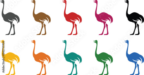 Colorful ostrich icons standing on white background, Multicolor ostrich silhouettes bird collection