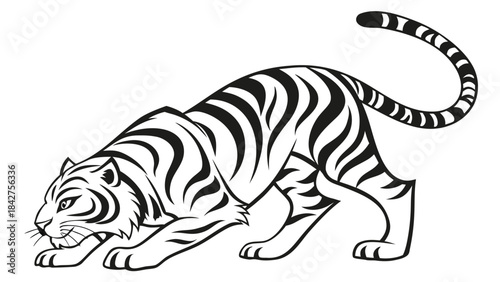 Vector illustration black and white illustration of a tiger crouching low to the ground with tail extended